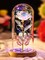 Beferr Mothers Day Rose Gifts for Mom Galaxy Glass Roses Preserved Forever Flowers for Delivery Light Up Rose in Glass Dome Anniversary Birthday Gifts for Women Grandma Wife Her Daughter Girlfriend
